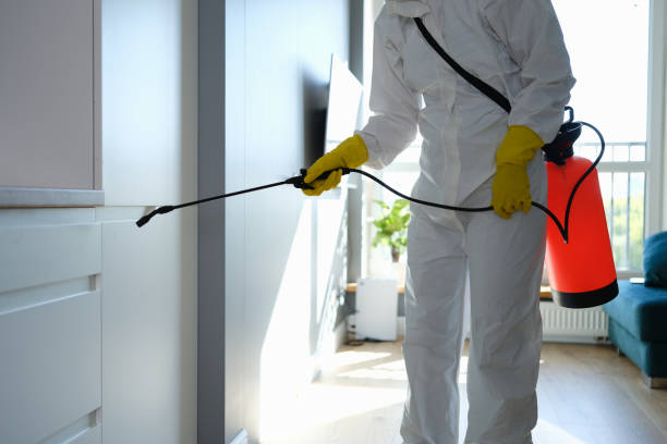 Mold Removal for HVAC Installations in Wenonah, NJ