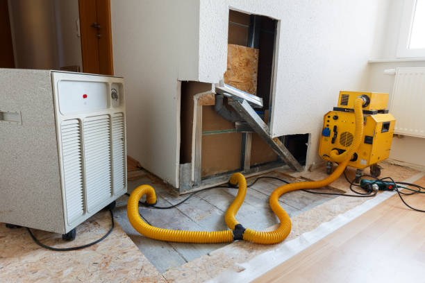 Best Post-Remediation Verification Testing  in Wenonah, NJ