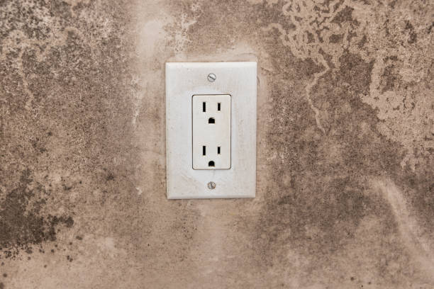 Best Residential Mold Inspection & Testing  in Wenonah, NJ